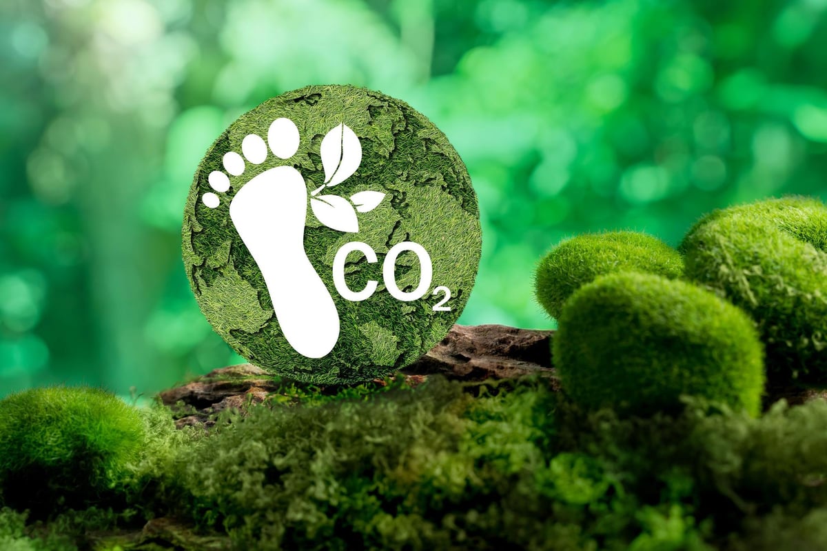 إدارة البصمة الكربونية و الحياد الكربوني